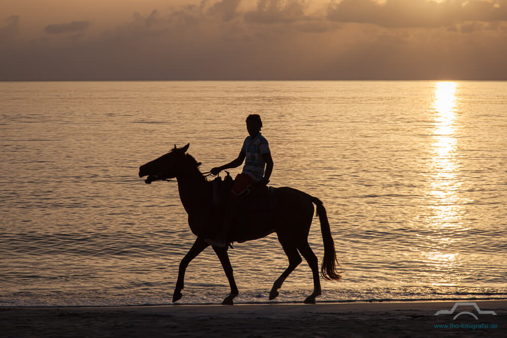 Reiter am Strand im Sonnenuntergang