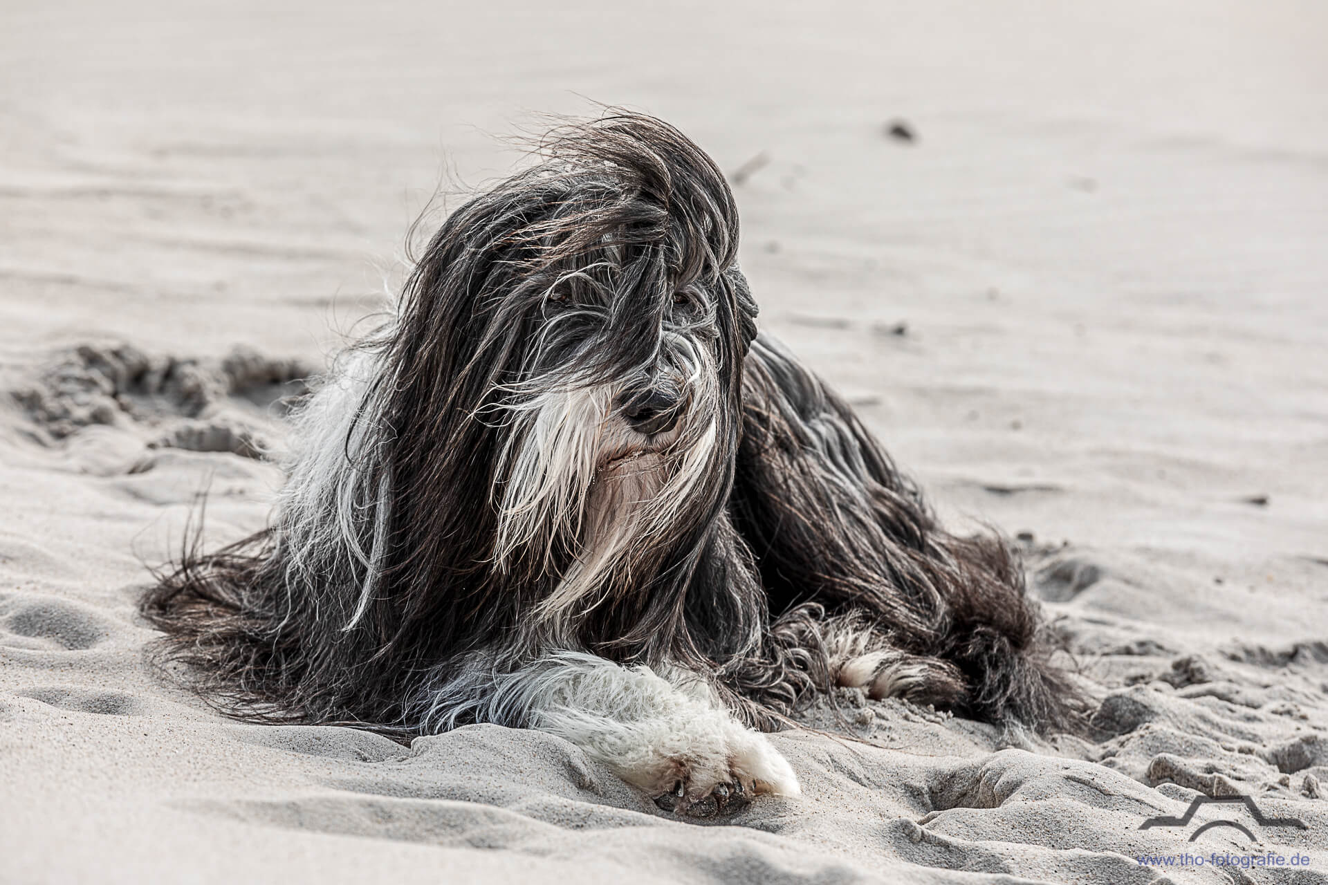 Teo ruht am Strand